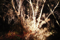 DSCN3183_resize