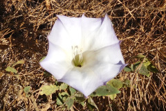 DSCN3188_resize