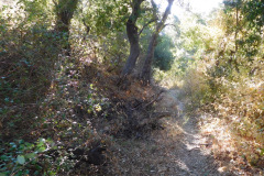 DSCN3189_resize