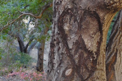 DSCN3190_resize