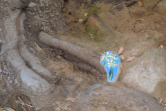 DSCN3192_resize