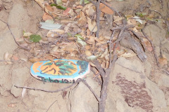 DSCN3195_resize