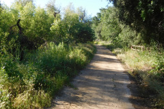 DSCN3998_resize
