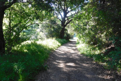 DSCN3999_resize