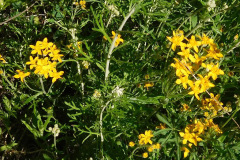 DSCN4012_resize