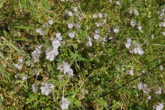 DSCN4013_resize