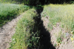 DSCN4018_resize