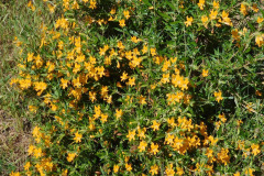 DSCN4022_resize