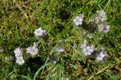 DSCN4024_resize