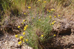 DSCN4027_resize