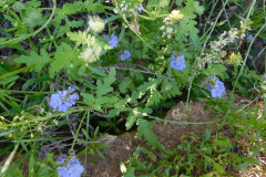 DSCN4029_resize