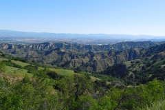 DSCN4031_resize