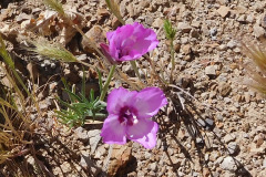DSCN4032_resize