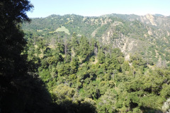 DSCN4036_resize
