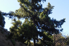 DSCN4039_resize