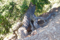 DSCN4040_resize