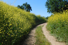 DSCN4041_resize