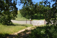 DSCN4043_resize