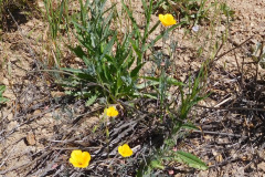 DSCN4054_resize