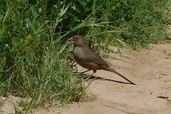 DSCN4066_resize