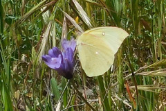 DSCN4071_resize