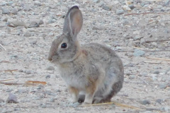 DSCN2807_resize