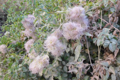 DSCN2808_resize