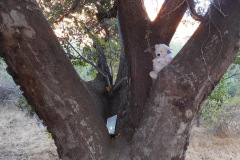 DSCN2811_resize