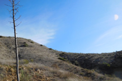 DSCN3512_resize