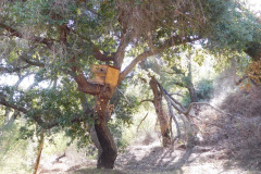 DSCN3517_resize
