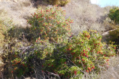 DSCN3518_resize
