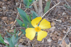DSCN3524_resize