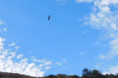 DSCN3527_resize
