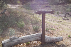 DSCN3528_resize