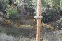 DSCN3530_resize