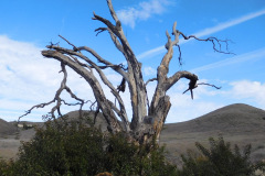 DSCN3531_resize