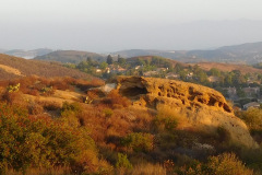 DSCN4425_resize
