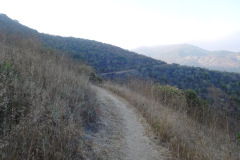 DSCN4429_resize