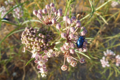 DSCN4436_resize