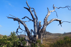 DSCN4449_resize