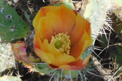 DSCN4455_resize