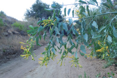 DSCN2957_resize