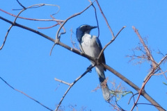 DSCN2965_resize