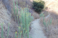 DSCN2974_resize