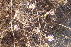 DSCN2984_resize
