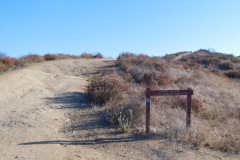 DSCN2690_resize