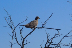 DSCN2692_resize