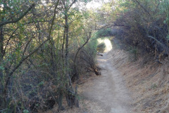 DSCN2694_resize