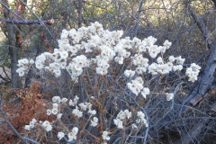 DSCN2695_resize