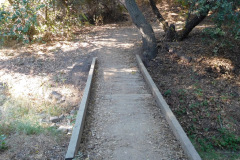 DSCN2696_resize
